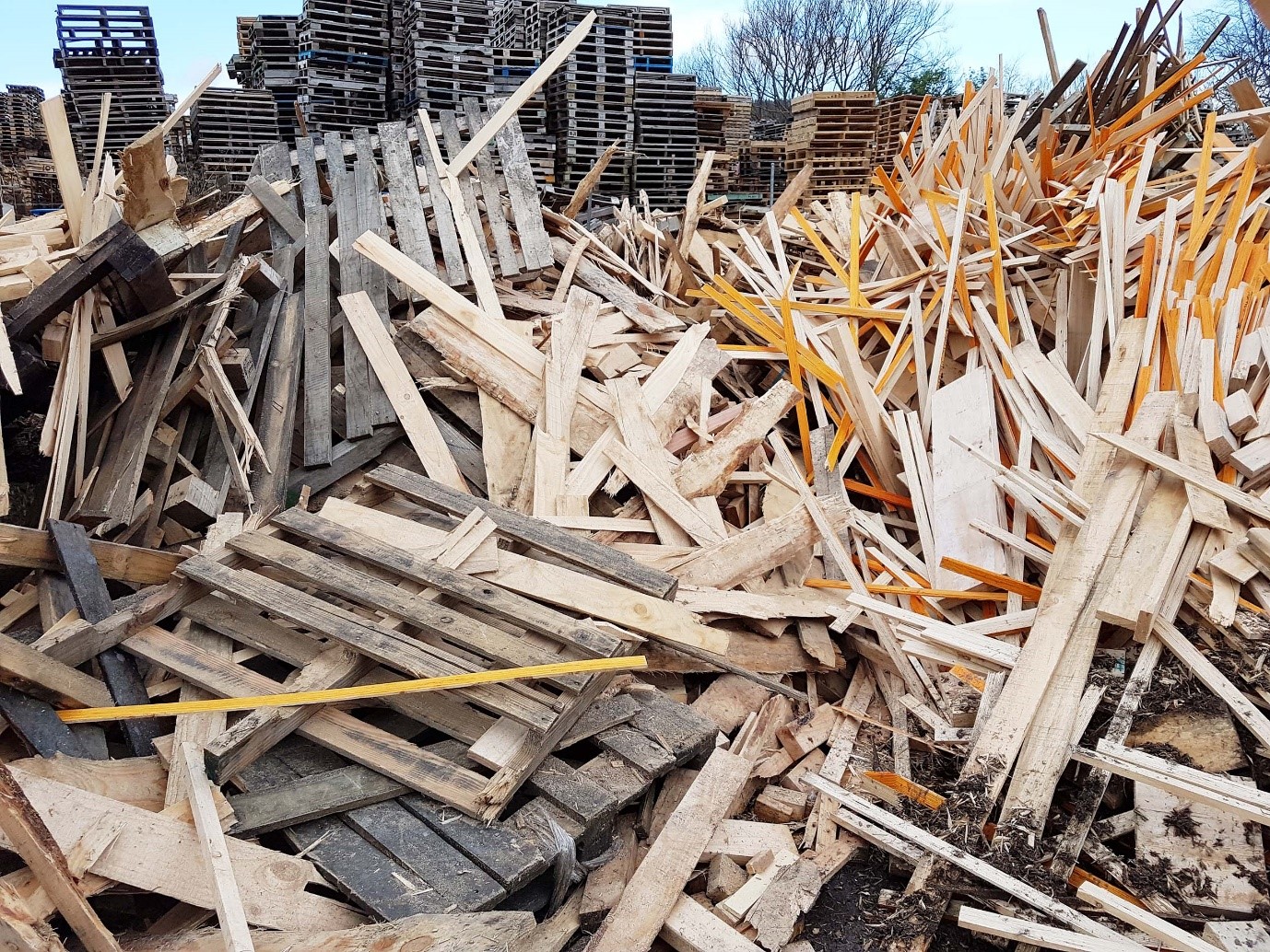 Для чего нужна переработка древесины?